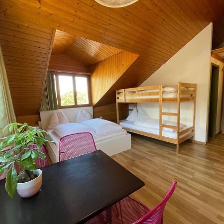 Central Beauty Scenery Apartment Interlaken Exterior foto