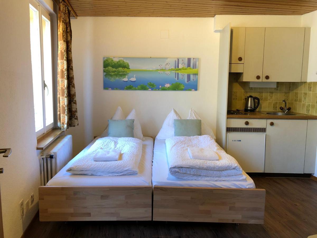 Central Beauty Scenery Apartment Interlaken Exterior foto