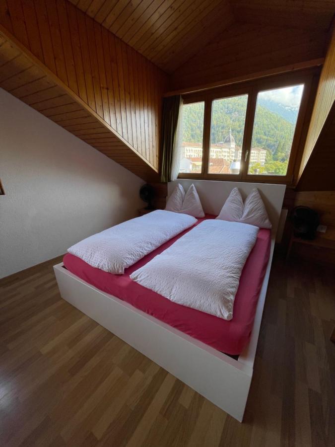 Central Beauty Scenery Apartment Interlaken Exterior foto
